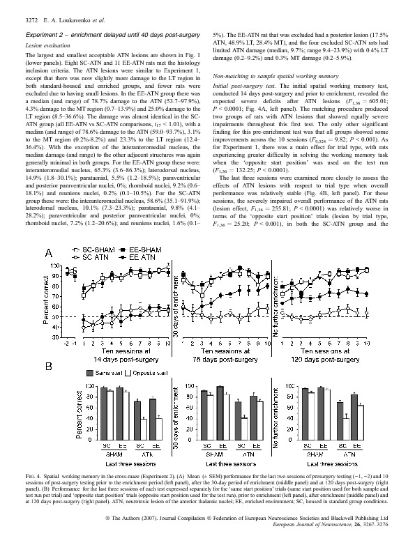 Download Towards therapy to relieve memory impairment after anterior thalamic lesions: improved spatial working memory after immediate and delayed postoperative enrichment.